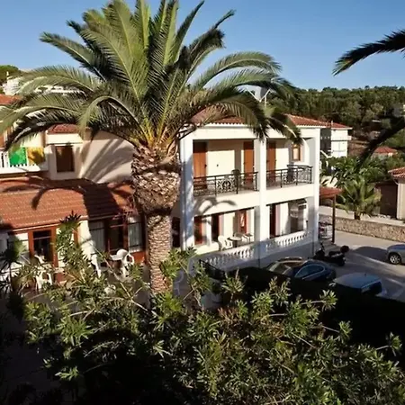 Anamar Zante Argassi